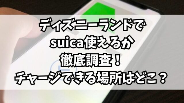 ディズニーランドでsuica使えるか徹底調査！チャージできる場所はどこ？